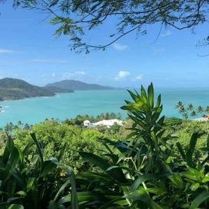 Meet your Posher, Bella